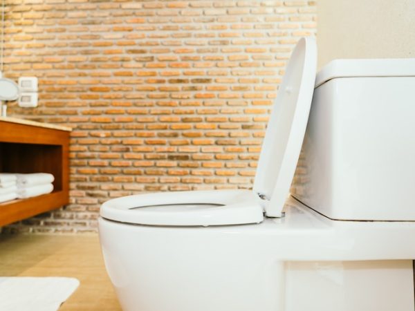 6 Dicas de Como Escolher o Assento Sanitário Ideal para o Seu Banheiro